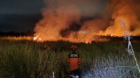 Kebakaran Hutan di Ogan Ilir