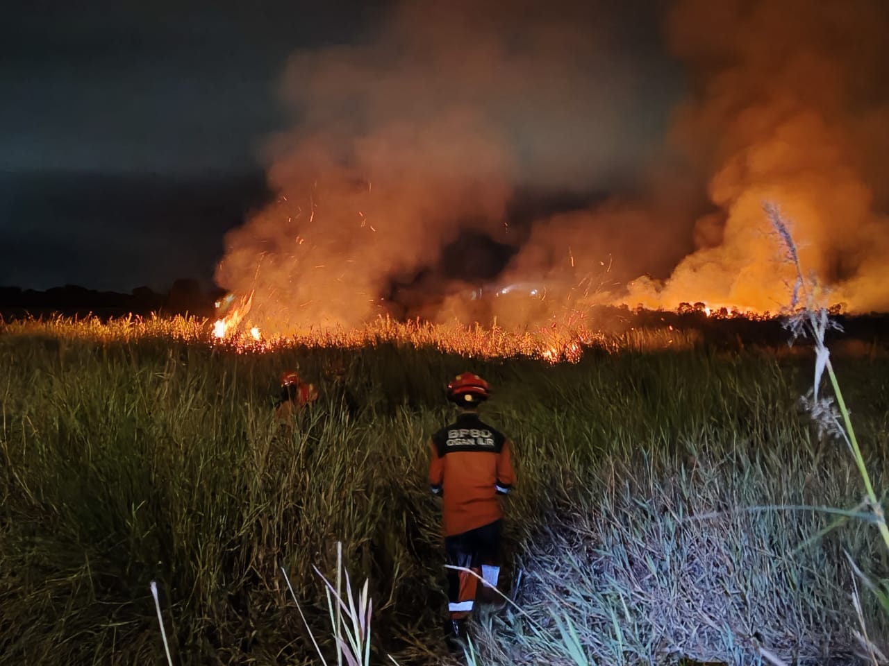 Kebakaran Hutan di Ogan Ilir Kebakaran Hutan di Ogan Ilir